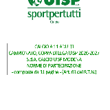 NORME DI PARTECIPAZIONE CALCIO A 11 STAGIONE 26/27